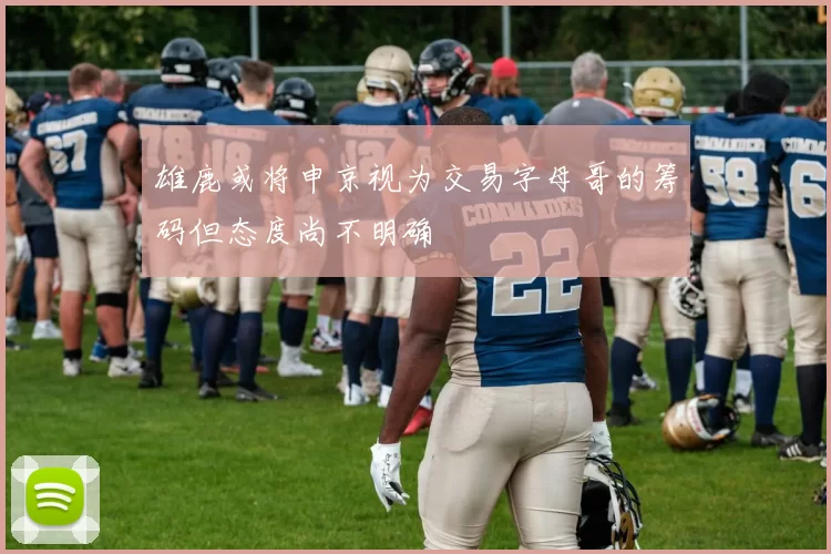 雄鹿或将申京视为交易字母哥的筹码但态度尚不明确